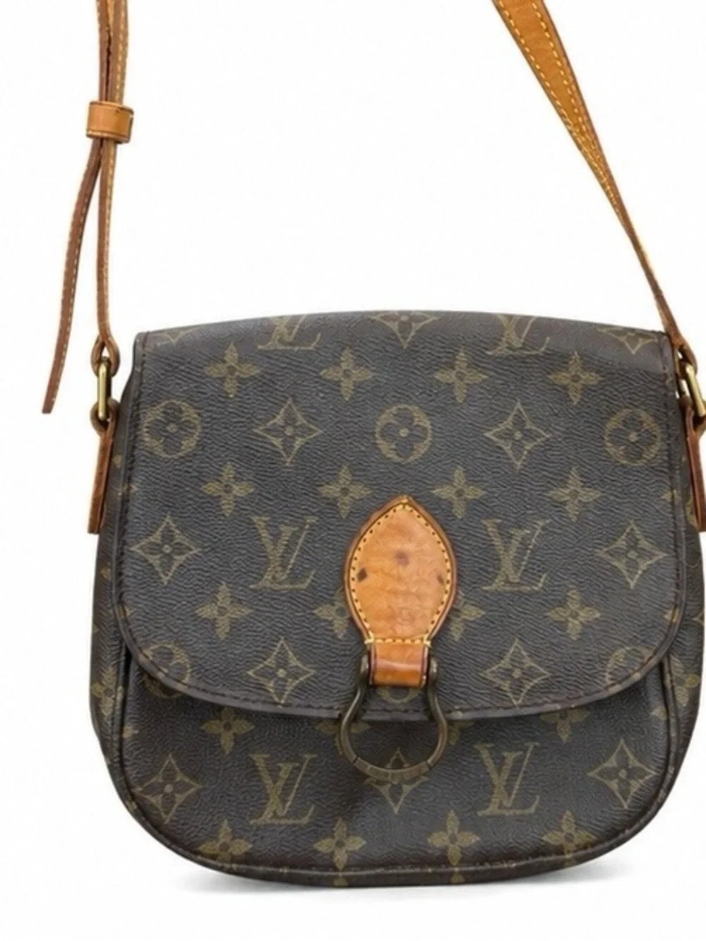 Louis Vuitton iconic louis
